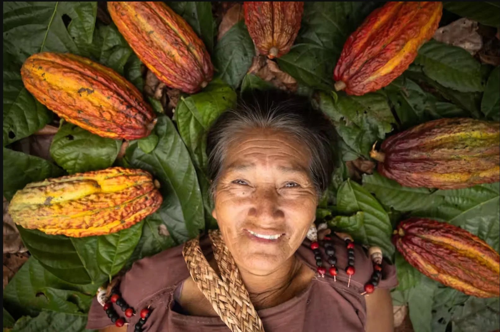 Yanesha Cacao