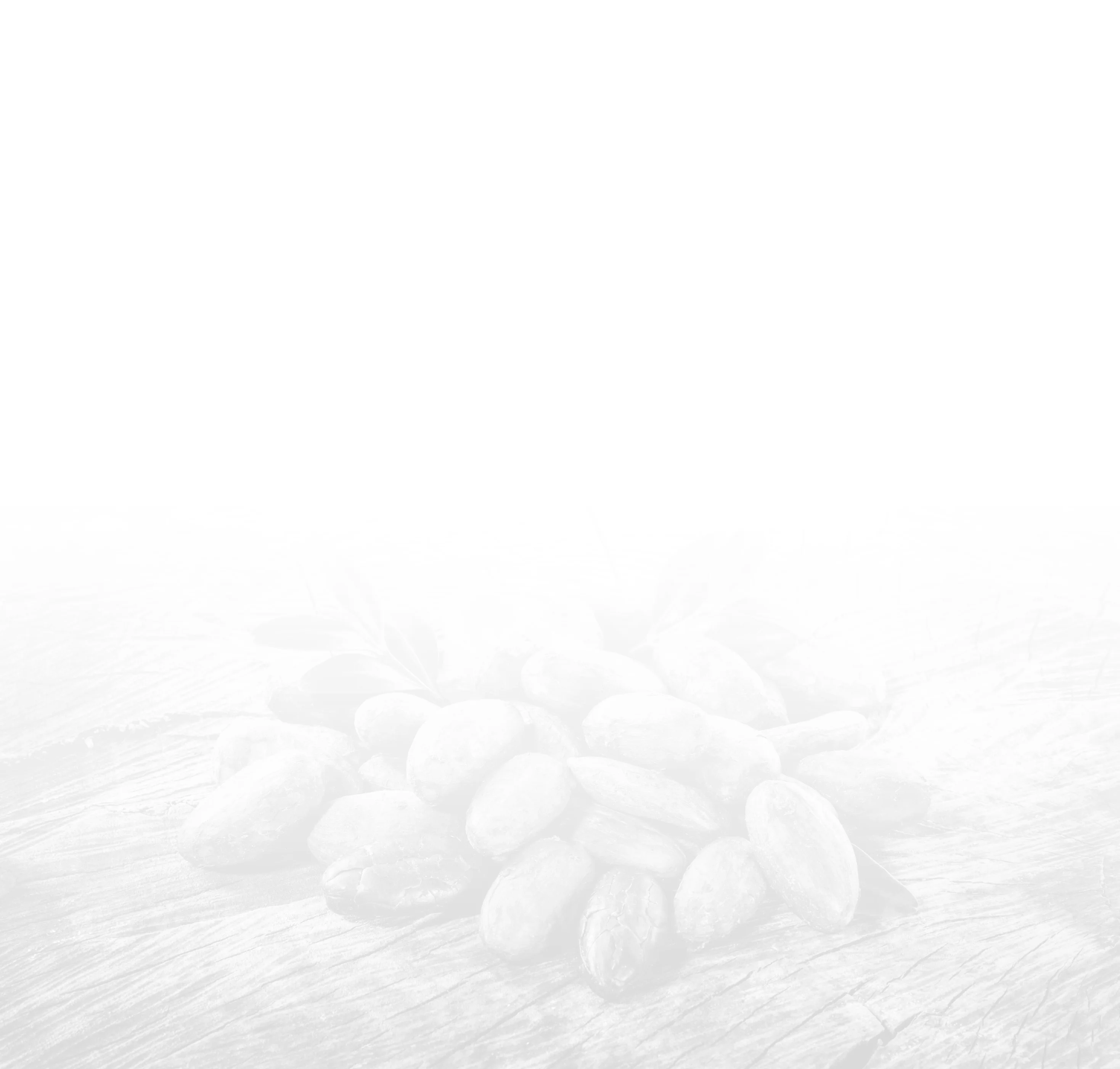 Cacao Beans BG 1